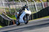 Oulton-Park-20th-March-2020;PJ-Motorsport-Photography-2020;anglesey;brands-hatch;cadwell-park;croft;donington-park;enduro-digital-images;event-digital-images;eventdigitalimages;mallory;no-limits;oulton-park;peter-wileman-photography;racing-digital-images;silverstone;snetterton;trackday-digital-images;trackday-photos;vmcc-banbury-run;welsh-2-day-enduro